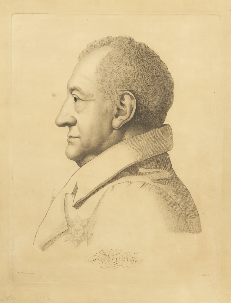 Goethe-Porträt im Profil